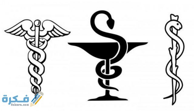 76954Image1 1180x677 d