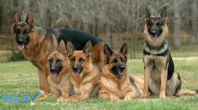 IMG ٢٠٢٠٠٤١٦ ٠٥٤٧٣٤