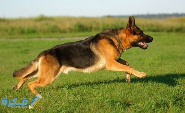 IMG ٢٠٢٠٠٤١٦ ٠٥٤٨١٣