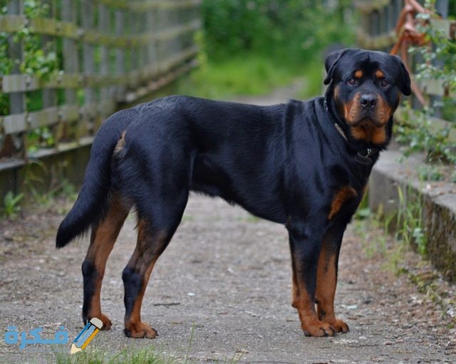 IMG ٢٠٢٠٠٤١٦ ٠٦٢٤٠٨