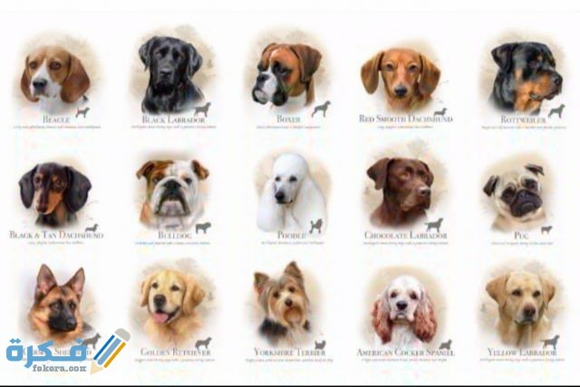 IMG ٢٠٢٠٠٤١٦ ١١٢٢٠٤