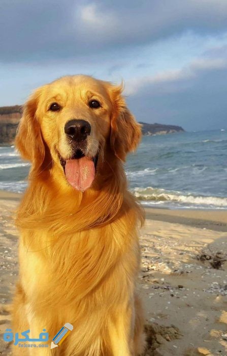 IMG ٢٠٢٠٠٤١٦ ١٤٢١٥٧