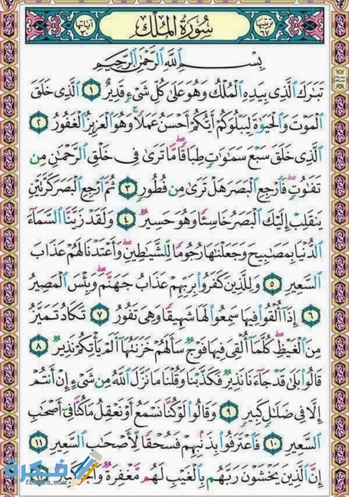 IMG ٢٠٢٠٠٤١٨ ١١٣٦٣٨