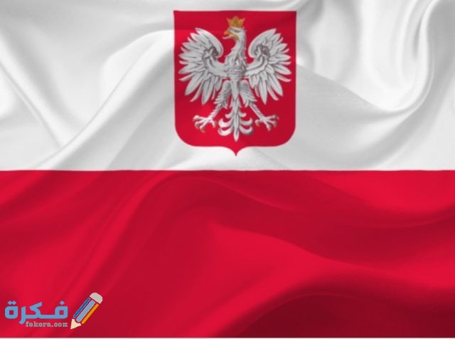 IMG ٢٠٢٠٠٤٢١ ١٢٣٨١٥