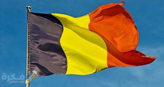 IMG ٢٠٢٠٠٤٢١ ١٢٣٩١٣