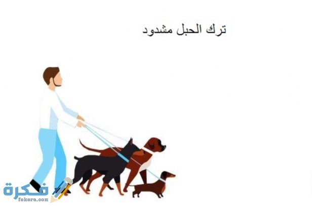 IMG ٢٠٢٠٠٤٢٦ ١٤٥١١٣