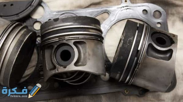 الشنابر 5 علامات تدل على تلفه 