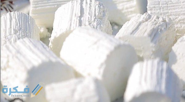 مدة هضم الجبنة القريش في المعدة