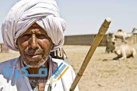 قبيلة الرشايدة