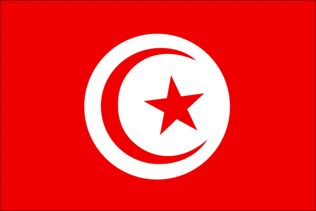 خلفيات علم تونس 2021 flag of tunisia 6 623x416 1