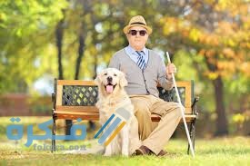 تفسير رؤية رجل ضرير