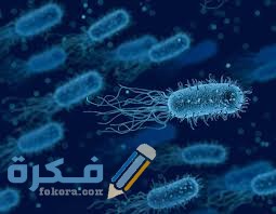 كيف تنتقل جرثومة المعدة