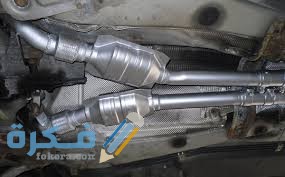 الشكمان مكوناته واعراض تلفه 