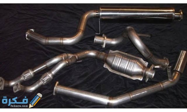 الشكمان مكوناته واعراض تلفه 