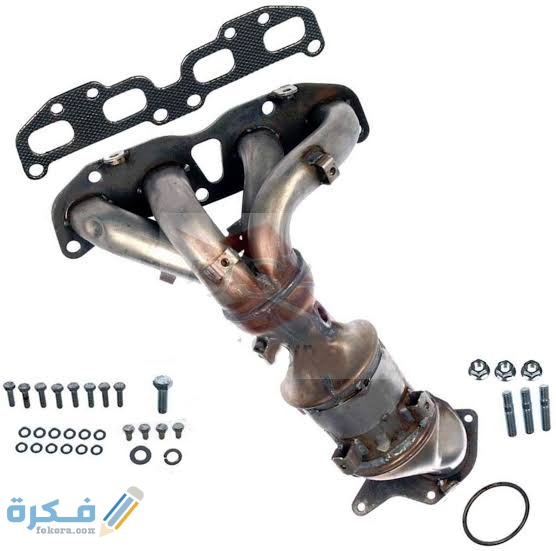 أقزوز الشكمان 5 علامات تدل على تلفه 