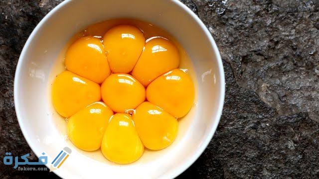 تفسير رؤية صفار البيض النيء