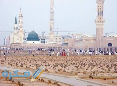 تفسير رؤية قبور الصحابة تفسير رؤية قبور الصحابة