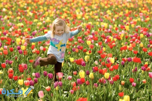 مجموعة من صور شم النسيم 2021 مجموعة من صور شم النسيم 2021