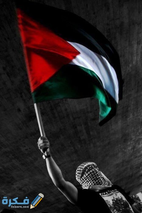 أجمل صور علم فلسطين 2021