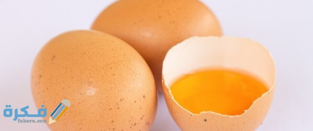 مدة هضم البيض في المعدة