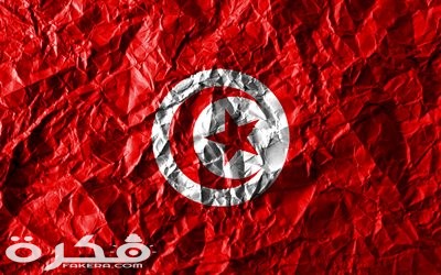 thumb tunisian flag 4k crumpled paper african countries creative