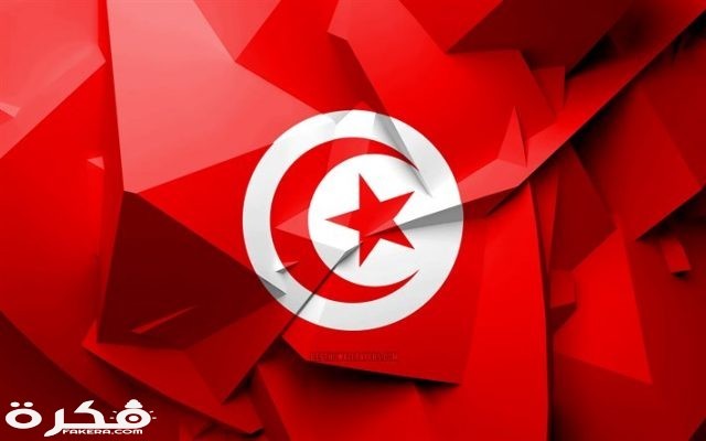 thumb2 4k flag of tunisia geometric art african countries tunisian flag