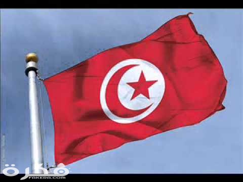 أصل العلم الحالي للجمهورية التونسية unnamed 3