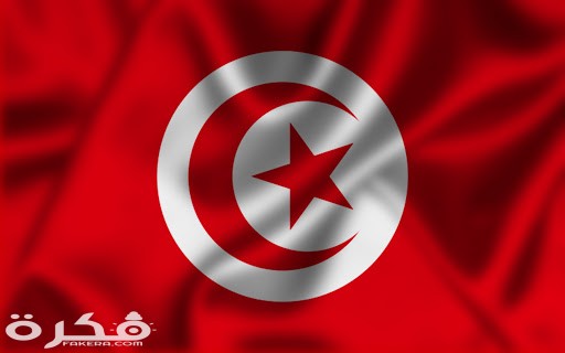 أصل العلم الحالي للجمهورية التونسية unnamed 5