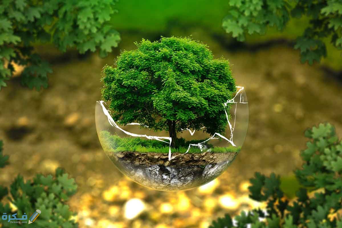 تحميل كتاب علم البيئة مقررات 1442