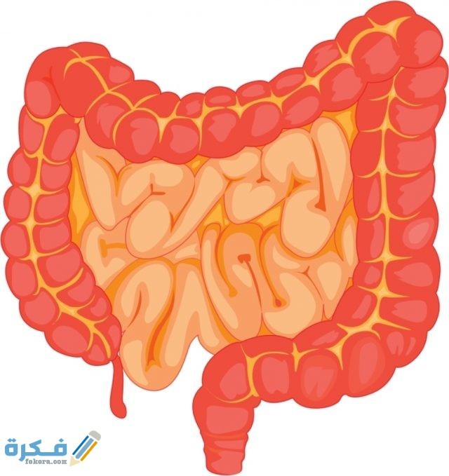 تراكم-البراز
