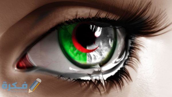 رمزيات علم الجزائر1