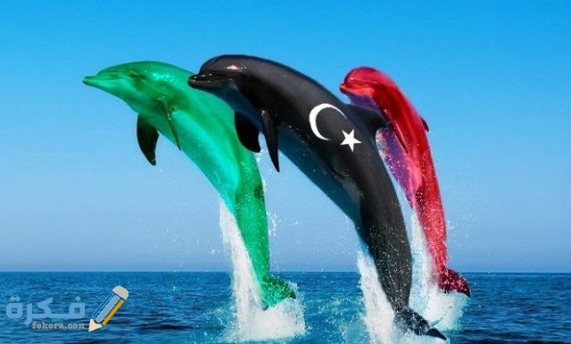 صورة علم ليبيا رائعة