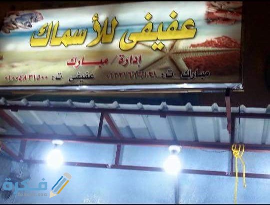 عفيفي للأسماك 