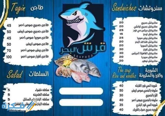 قرش البحر قرش البحر