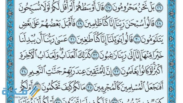 سبب نزول سورة القلم