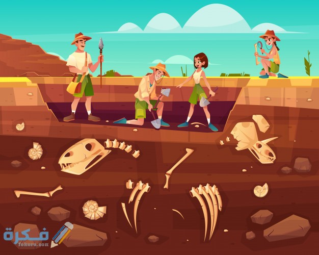 خصائص قسم حيوان كيمياء