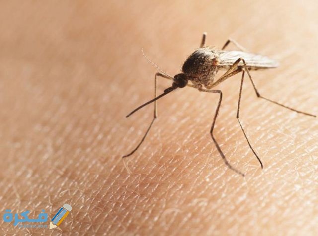 IMG ٢٠٢٠٠٥٠٤ ١٢٢٦٤٧