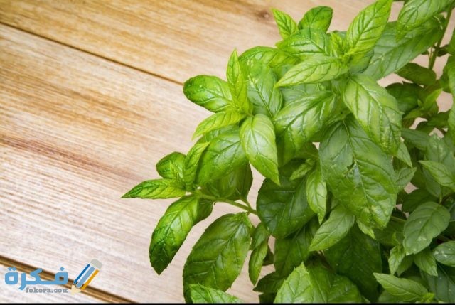 IMG ٢٠٢٠٠٥٠٤ ١٣٤٥٢٨