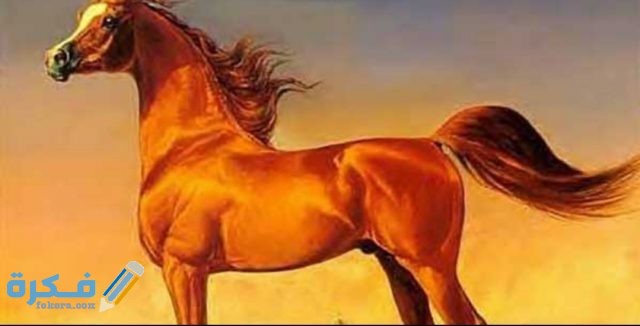 IMG ٢٠٢٠٠٥٠٤ ١٥٥٠٢٢