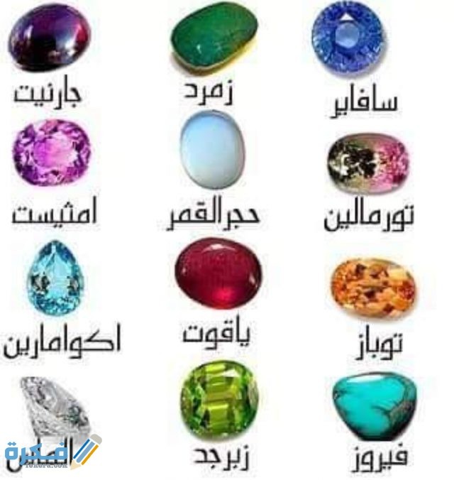 IMG ٢٠٢٠٠٥٠٥ ١١٤٢٤٠