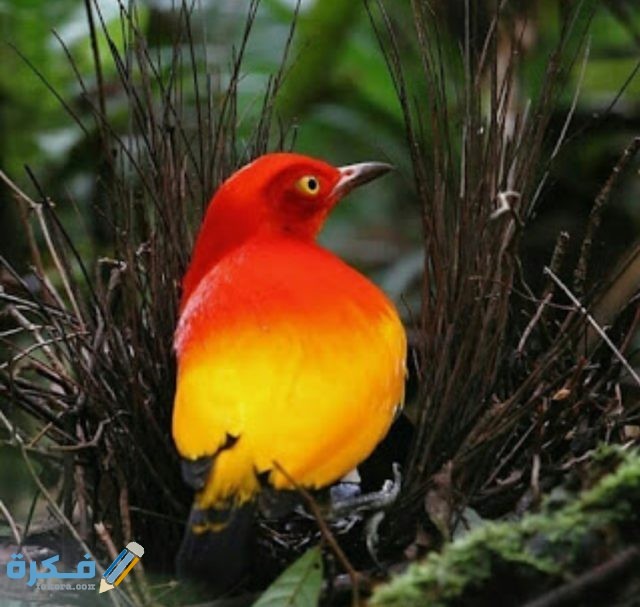 IMG ٢٠٢٠٠٥٠٨ ١٢٠٤٥٥