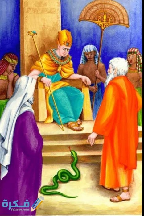 IMG ٢٠٢٠٠٥١٤ ١٤٥٥٠٠