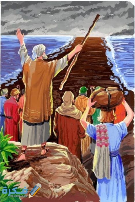 IMG ٢٠٢٠٠٥١٤ ١٤٥٥١٧