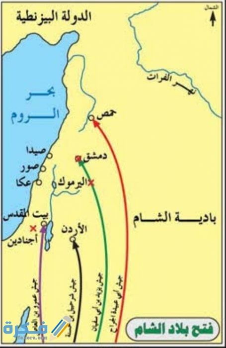 IMG ٢٠٢٠٠٥١٧ ٠٠٤٩١١