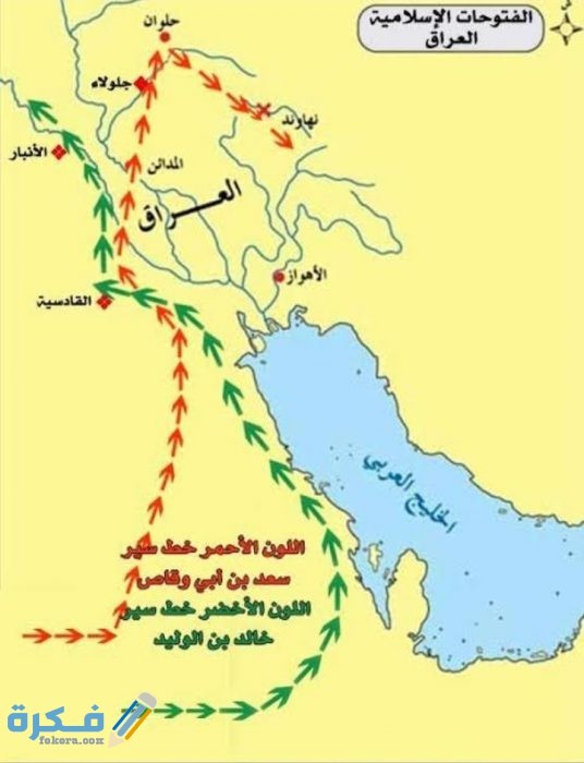 IMG ٢٠٢٠٠٥١٧ ٠٤٢٤٤١