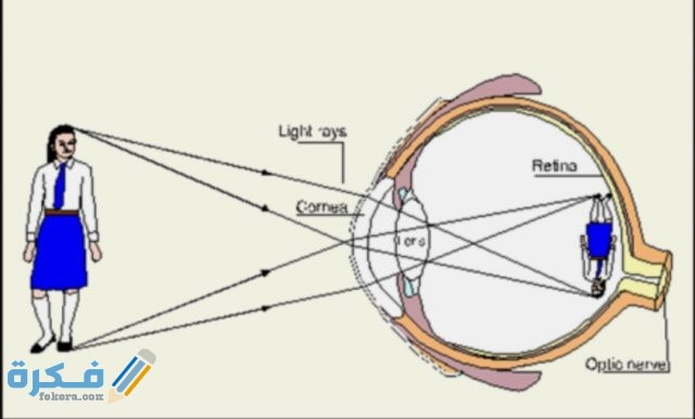 IMG ٢٠٢٠٠٥٣١ ١٠١٣٤٧