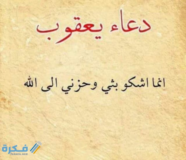 IMG ٢٠٢٠٠٥٣١ ١٠٥٣٠٨