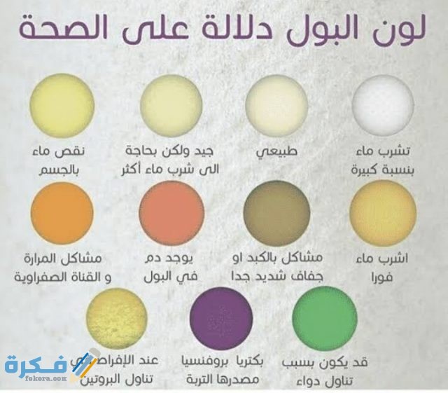 رموز تحليل البول كاملة بالصور (شرح بالتفصيل + جدول) 