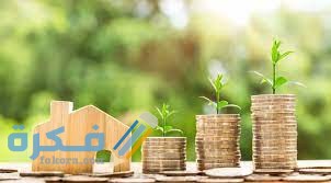 مفهوم الاستثمار في مصر مفهوم الاستثمار في مصر