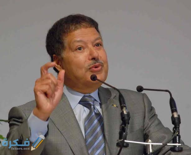 إسهامات أحمد زويل 